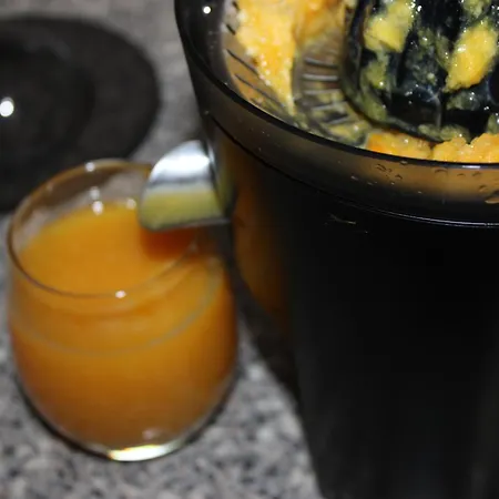 Accommodatie bij particulieren Herdade Di Luce Daporta