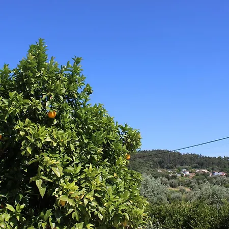 Herdade Di Luce