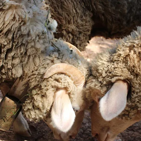 Herdade Di Luce Accommodatie bij particulieren