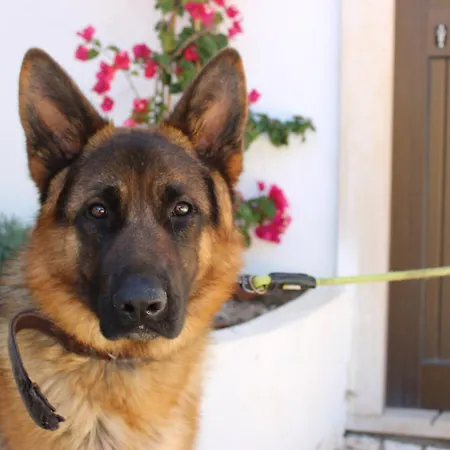 Herdade Di Luce Privatunterkunft *