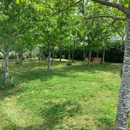 Herdade Di Luce * Daporta
