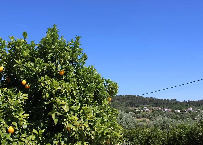 Herdade Di Luce