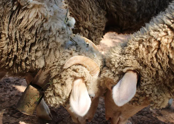 Herdade Di Luce Privatunterkunft